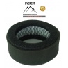 FILTR POWIETRZA ROBIN EC-12 EH-12 EVEREST
